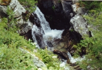 Torrent