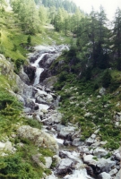 Torrent